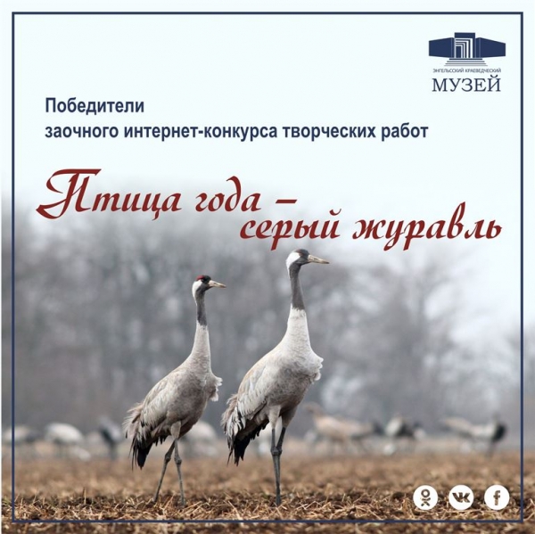 Итоги заочного интернет-конкурса &quot;Птица года - серый журавль&quot;