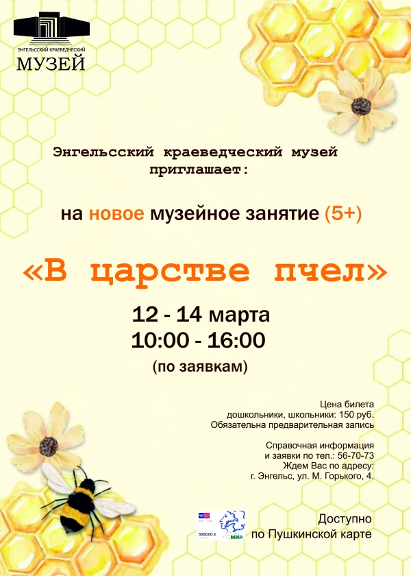 Новое музейное занятие &laquo;В царстве пчёл&raquo; в Энгельсском краеведческом музее