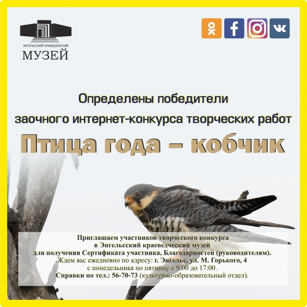 Определены победители заочного интернет-конкурса творческих работ «Птица года – кобчик»